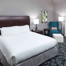 Hilton Garden Inn Detroit/Novi, 诺维 — 照片 3
