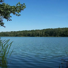 Lake Hotel- Centrum Szkoleniowo-rekreacyjne, 斯滕谢夫 — 照片 5
