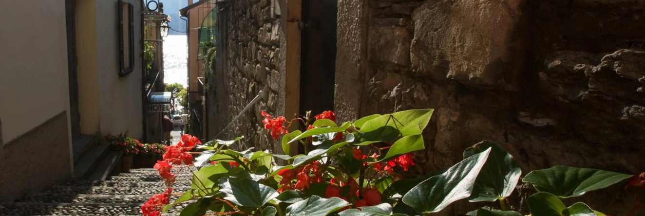 Villa Bellagio, Vassena — photo 1