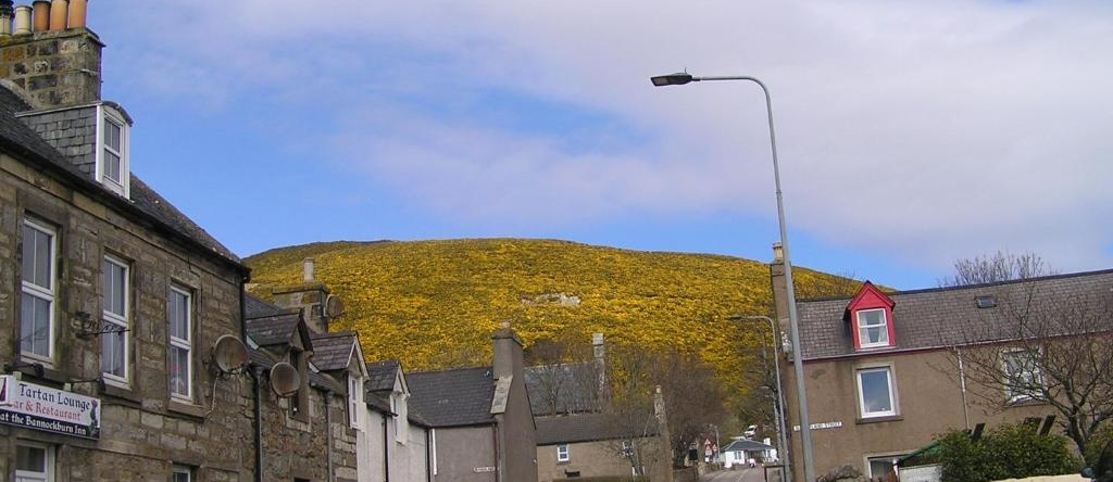 Bannockburn Inn, Хелмсдейл — фото 1