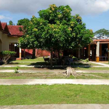 Hotel Mutmainnah, 比马 — 照片 2