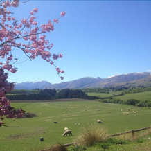 Southern Venues Farmstay B&B, Athol — photo 5