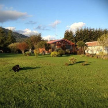 Lodge Y Cabañas Vista Hermosa, Футроно — фото 2