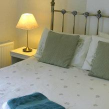 The Swallows Guest House, 埃克斯茅斯 — 照片 4