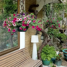 Chambre Bounty cuisine privée, salle d'eau, terrasse, garage, 奥莱尔格 — 照片 5