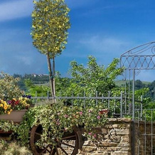 Agriturismo Bodrito, 切索莱 — 照片 5