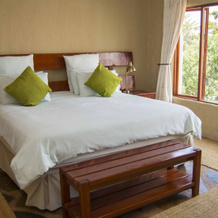 By Bush Telegraph Lodge, Midrand — photo 2
