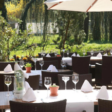 Hotel Alemannenhof, Schallstadt — photo 5