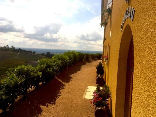 Domaine du Coteau Des Lys, 弗勒里 — 照片 1
