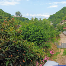 Tikhiy Ugolok Private House, Gagra — photo 5