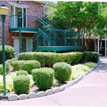 Amberley Suite Hotel, 迪凯特 — 照片 5