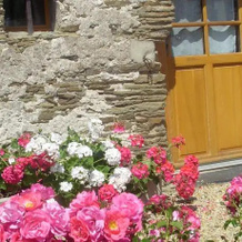 Gîte "Les Celliers", Brissac Loire Aubance — photo 4