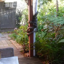 Rose Cottage Picton, Picton — photo 2