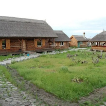 Pension Tado Letea, К.А. Росетти — фото 2