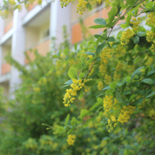 Borovichskij(Ao Bko), Боровичи — фото 3