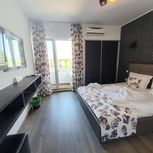 Anacris Guesthouse, Костинешти — фото 2