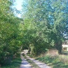 Chambre d'Hôtes La Première Vigne, 皮塞尔西 — 照片 4