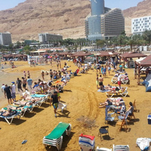 Rose Dead Sea Neve Zohar, Neve Zohar — photo 3
