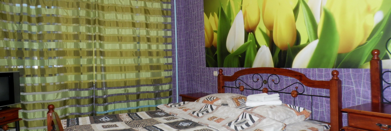 Apartamenty na Lizy Chaykinoy 16, Vyksa — photo 1