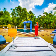 Lemon Tree Wildlife Resort, Bandhavgarh, Панпата — фото 3