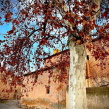 Boutique Hotel & Spa Les Vinyes, 维拉迪达 — 照片 5