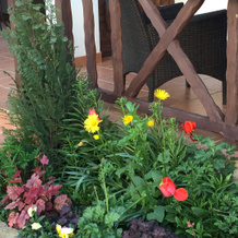 Serenada Guest House, Koktebel — photo 4