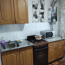 1-Komnatnaya S Konditsionerom Flat, 沃尔日斯克 — 照片 5