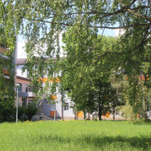 Borovichskij(Ao Bko), Боровичи — фото 4