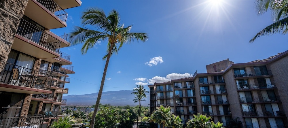 2 2 Oceanview Modern Resort Vistas, 基黑 — 照片 1
