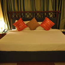 OYO 13279 Hotel Jabali Palace, 贝达加特 — 照片 4