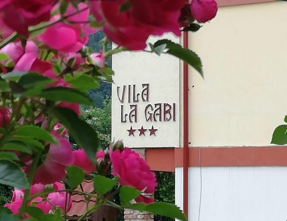 Villa La Gabi, Азуга — фото 1