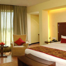 Indore Marriott Hotel, Indore — photo 3