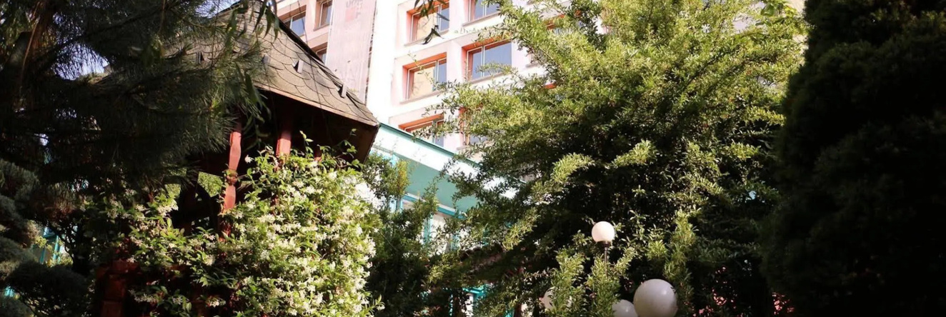 Carpati Hotel Baia Mare, 巴亚马雷 — 照片 1