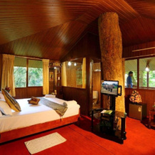 Seven Springs Plantation Resort, Munnar — photo 3