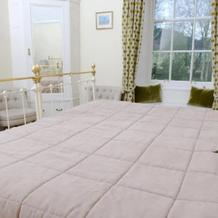 Tyddyn Llan Restaurant with Rooms, Llandrillo — photo 5
