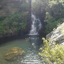 Sani Pass Manor Guest House, 海姆维尔 — 照片 5