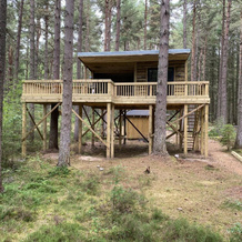 Remarkable 1-Bed Treehouse 10 Mins From Inverness, Манлочи — фото 2