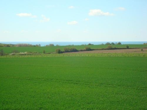 Entre Vert et Bleu, Saint-Martin-aux-Buneaux — photo 1