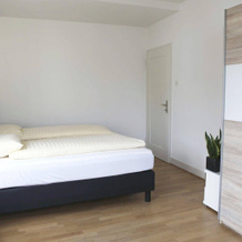 rent-a-home Bristenweg, 巴塞尔 — 照片 2