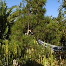 Casita jardín, Las Casitas de Femes — photo 3