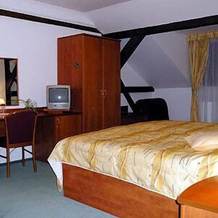 Wellness Hotel Anna Nejdek, Нейдек — фото 4