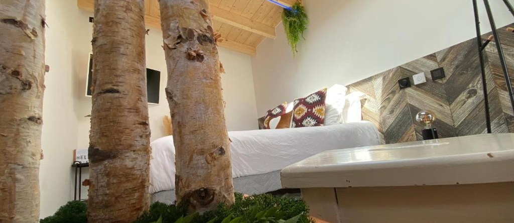 La Villa d'Hélène 2 - Chambres d'hôtes BnB et Appartements - Cluses, 克吕斯 — 照片 1