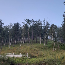 Larus Apart Hotel, Байкал — фото 3