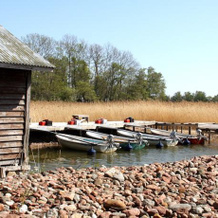 Björkbacken Cottages, 芬斯特伦 — 照片 3