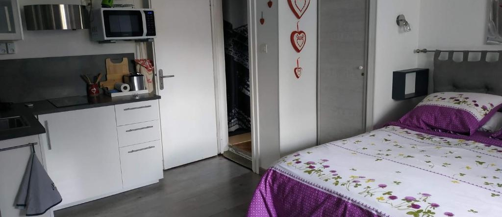 Joli gîte proche Strasbourg, Breuschwickersheim — photo 1