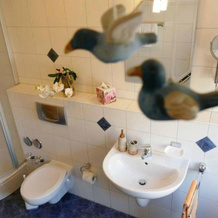 Ferienwohnung Bickel, Absberg — photo 5