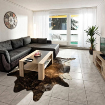 Max Aviation Villa & Apartments, 伯尔尼 — 照片 3