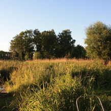 Ferienwohnungen Usedom USE 3380, 乌瑟多姆 — 照片 4