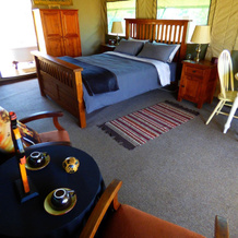 Thorn Tree Bush Camp, 库里南 — 照片 4