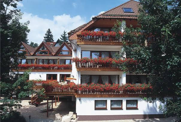 Hotel Sonnenhof, 巴德萨克萨 — 照片 1